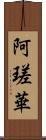 阿瑳華 Scroll