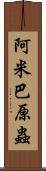 阿米巴原蟲 Scroll