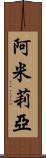 Amilia Scroll