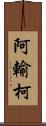 阿輸柯 Scroll