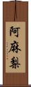 阿麻梨 Scroll