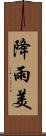 降雨美 Scroll