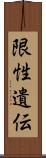 限性遺伝 Scroll