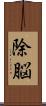 除脳 Scroll