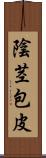 陰茎包皮 Scroll