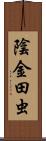 陰金田虫 Scroll