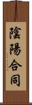 陰陽合同 Scroll