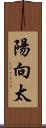 陽向太 Scroll