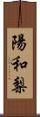 陽和梨 Scroll