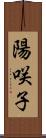 陽咲子 Scroll