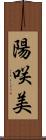 陽咲美 Scroll