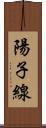 陽子線 Scroll