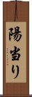 陽当り Scroll