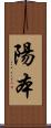 陽本 Scroll