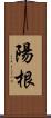 陽根 Scroll