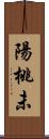 陽桃未 Scroll