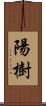 陽樹 Scroll