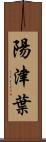 陽津葉 Scroll