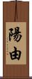 陽由 Scroll