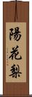 陽花梨 Scroll