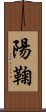 陽鞠 Scroll