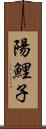 陽鯉子 Scroll