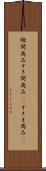 隙間商品 Scroll