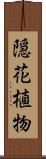 隠花植物 Scroll