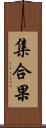 集合果 Scroll