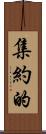 集約的 Scroll