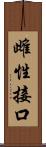 雌性接口 Scroll