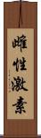 雌性激素 Scroll