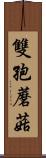 雙孢蘑菇 Scroll