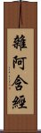 雜阿含經 Scroll