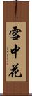 雪中花 Scroll