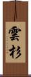 雲杉 Scroll