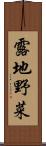 露地野菜 Scroll