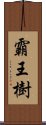 霸王樹 Scroll