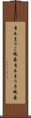 青木まりこ現象 Scroll