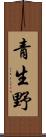 青生野 Scroll
