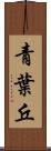 青葉丘 Scroll