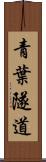 青葉隧道 Scroll