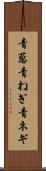 青葱 Scroll