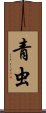 青虫 Scroll