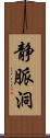 静脈洞 Scroll