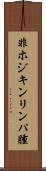 非ホジキンリンパ腫 Scroll