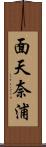 面天奈浦 Scroll