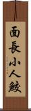 面長小人鮫 Scroll