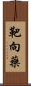 靶向藥 Scroll