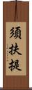 須扶提 Scroll